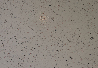 This image shows a flake epoxy floor.